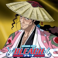 Bleach, Season 20 à télécharger 