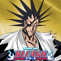 Bleach, Season 23 à télécharger 