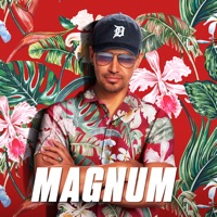 Magnum, Saison 1 à télécharger 