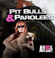 Pit Bulls and Parolees, Season 8 à télécharger 