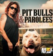 Pit Bulls and Parolees, Season 10 à télécharger 
