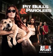 Pit Bulls and Parolees, Season 7 à télécharger 