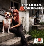 Pit Bulls and Parolees, Season 5 à télécharger 