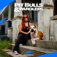 Pit Bulls and Parolees, Season 13 à télécharger 