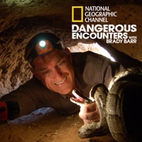 Dangerous Encounters, Season 1 à télécharger 