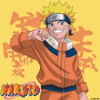 Naruto, Arc 25 : Episodes additionnels à télécharger 