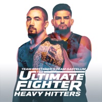 The Ultimate Fighter 28: Team Whittaker vs. Team Gastelum - Heavy Hitters à télécharger 