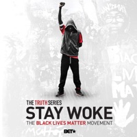 Stay Woke: The Black Lives Matter Movement à télécharger 