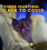 Virus Hunting: Cave to COVID à télécharger 