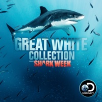 Great White Collection à télécharger 
