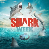 Shark Week, 2014 à télécharger 