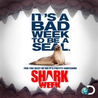Shark Week, 2013 à télécharger 