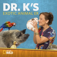 Dr. K's Exotic Animal ER, Season 4 à télécharger 
