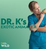 Dr. K's Exotic Animal ER, Season 6 à télécharger 