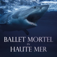 Ballet mortel en haute mer à télécharger 