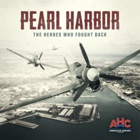 Pearl Harbor: The Heroes Who Fought Back à télécharger 