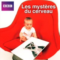 Les mystères du cerveau à télécharger 