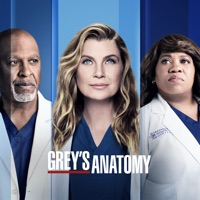 Grey's Anatomy, Saison 18 (VOST) à télécharger 