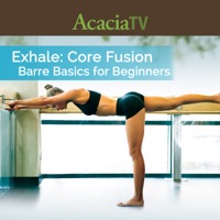 Exhale: Core Fusion - Barre Basics for Beginners à télécharger 