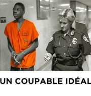 Un coupable idéal à télécharger 