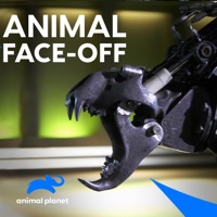 Animal Face Off, Season 1 à télécharger 