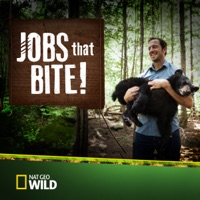 Jobs That Bite!, Season 1 à télécharger 
