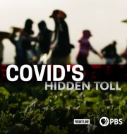 COVID's Hidden Toll à télécharger 
