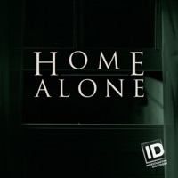 Home Alone, Season 2 à télécharger 