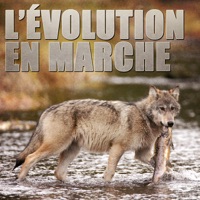 L'évolution en marche à télécharger 