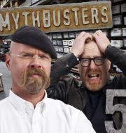 MythBusters, Season 5 à télécharger 