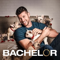 The Bachelor, Season 26 à télécharger 