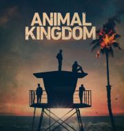 Animal Kingdom, Season 5 à télécharger 