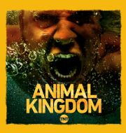 Animal Kingdom, Season 3 à télécharger 