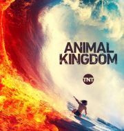 Animal Kingdom, Season 4 à télécharger 