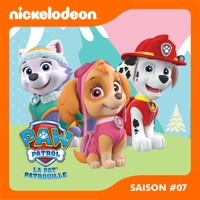 Paw Patrol, la Pat’ Patrouille, Saison 7, Partie 1 à télécharger 