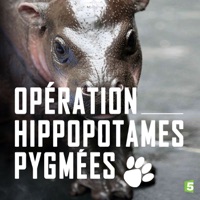 Opération hippopotames pygmées à télécharger 