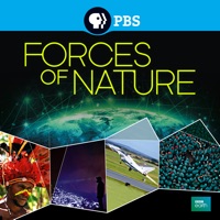 Forces of Nature à télécharger 