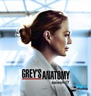 Grey's Anatomy, Saison 17 à télécharger 