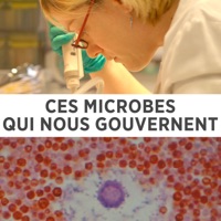 Ces microbes qui nous gouvernent à télécharger 