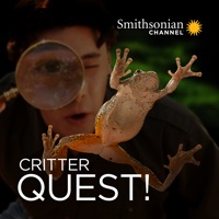 Critter Quest! à télécharger 