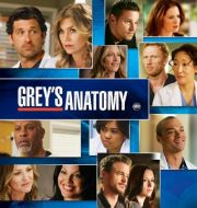 Grey's Anatomy, Season 8 à télécharger 