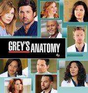 Grey's Anatomy, Season 9 à télécharger 