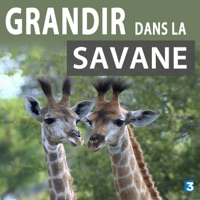 Grandir dans la savane à télécharger 
