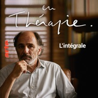 En thérapie, Saisons 1 & 2 à télécharger 