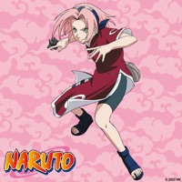 Naruto, Arc 23 : Rock Lee Rival, Partie 1 à télécharger 