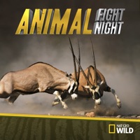 Animal Fight Night, Season 4 à télécharger 