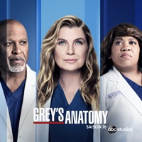 Grey's Anatomy, Saison 18 (VF) à télécharger 