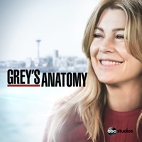 Grey's Anatomy, Saison 15 (VF) à télécharger 