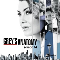 Grey's Anatomy, Saison 14 (VF) à télécharger 