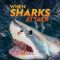 When Sharks Attack, Season 8 à télécharger 